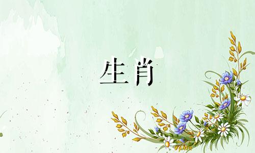 属虎和生肖鸡合不合财 属虎和鸡属相合不合