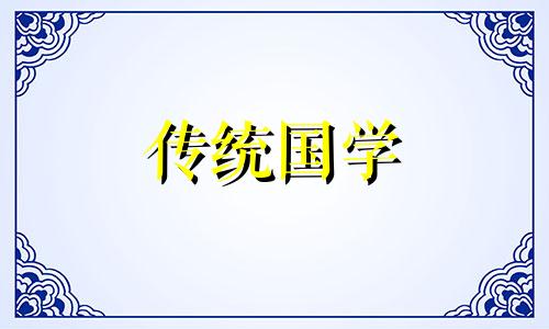铁线蕨盆栽在卫生间风水是不是好呢