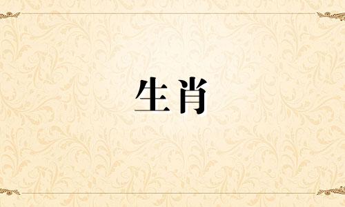 属狗的2024年是不是不好 为什么2024年属狗的是一个坎