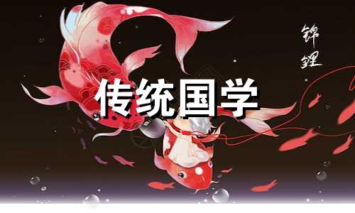 黄杨木的风水禁忌有哪些 黄杨木风水禁忌需要注意什么