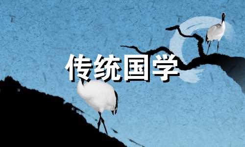 榕树的风水禁忌有哪些 家里养榕树招财吗