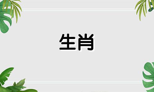 属猴女和属狗男适不适合在一起工作