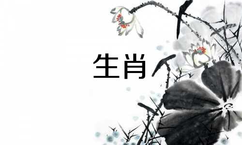虎和兔属相合不合婚姻相配呢女