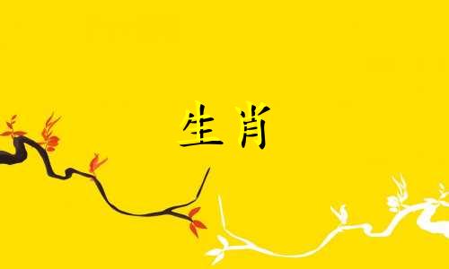87年属兔转运佩戴哪只手指