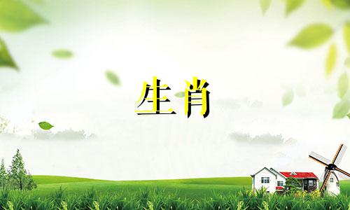 属猪人的命运和婚姻如何 属猪人的命运婚姻一生概况