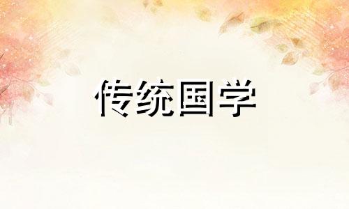 经常看到喜鹊有什么兆头 看到喜鹊有什么兆头时间
