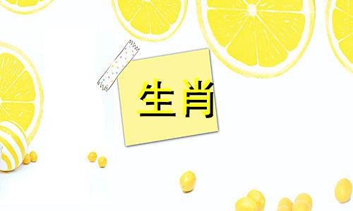 女人二婚的手相是什么样子的图片