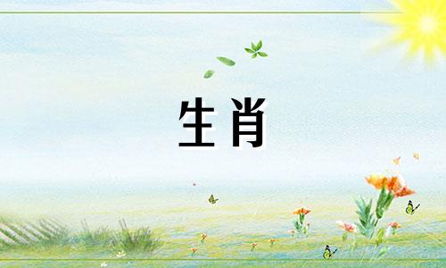 2024年不适合结婚还是领证结婚
