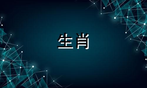 2024年兔是什么命五行属什么