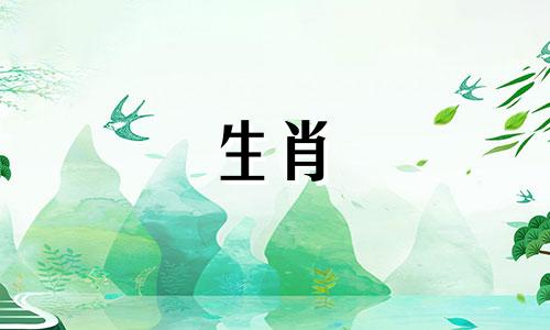 2024年属狗的学业怎么样 属狗在2024年运势如何