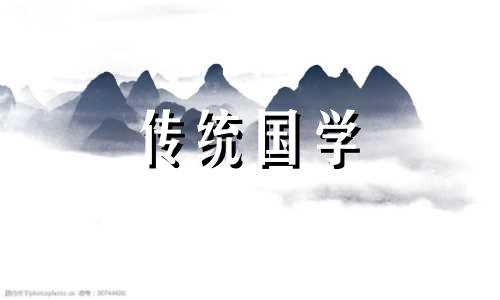 龙龟有什么作用?哪些人适合佩戴呢