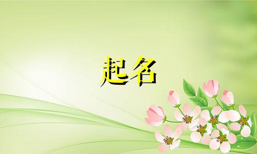 姓宿的男孩取什么名字好听