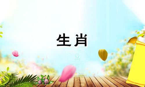 属虎的人和属蛇的人相配吗婚姻如何