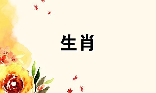 天同化忌在疾厄宫代表什么