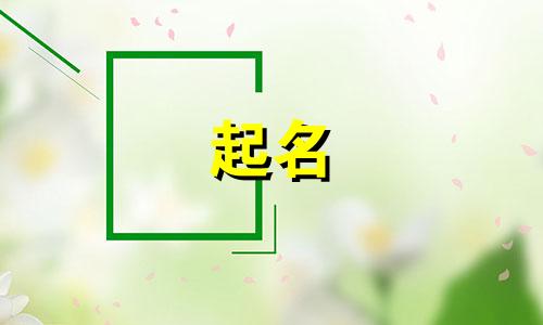 幽默且富有创意的企业名称