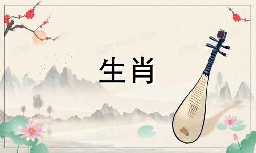 82年属狗的2024年运势怎么样呢