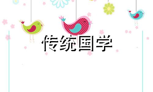 遇见小刺猬是什么预兆呢 遇见刺猬是好事吗