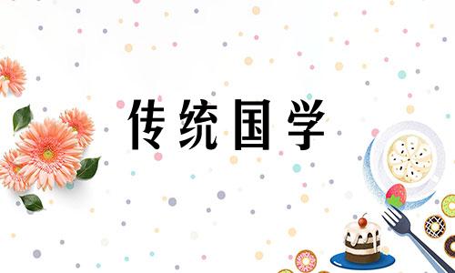 自来猫是吉还是凶广东潮汕