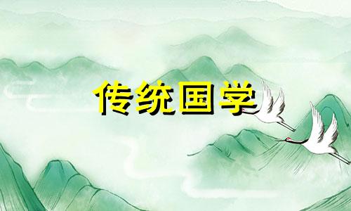 属猪人黄金楼层怎么选吉日