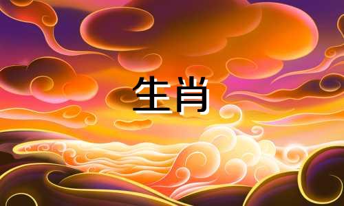 属猪人2024全年运势及运程女性
