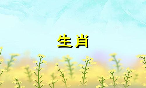面相教你选哪种男人最为可靠的女人