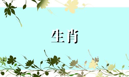 龙年不适合生孩子的属相有哪些呢