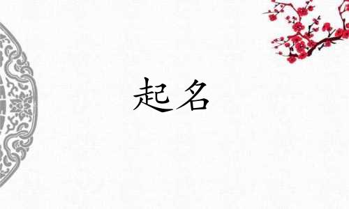 公司起名两字精选水字开头的名字