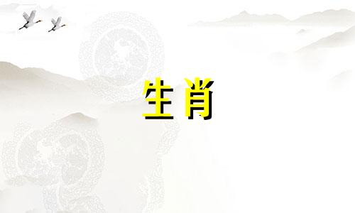 2022年会和前任复合的生肖