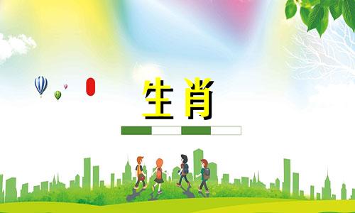 2024年属猪人下半年运势会变差吗为什么