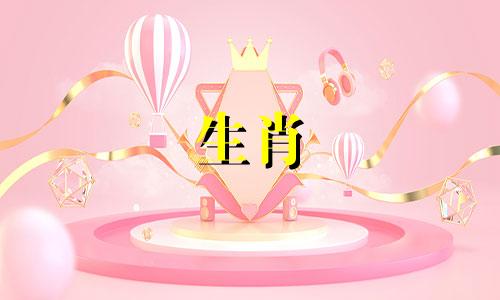 2008年属鼠的命运怎么样呢