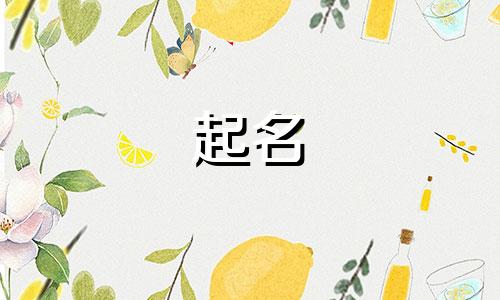 金木水火土五行公司名字大全