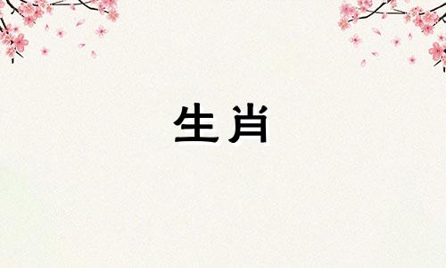 2006年属狗适合学什么技术