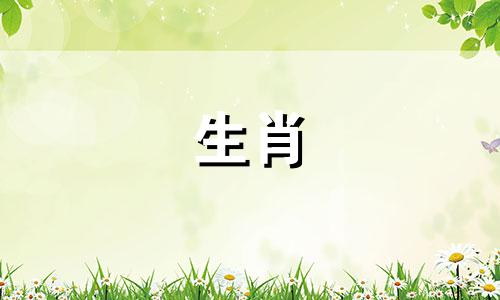 属鼠的和什么属相最配婚姻最合适天气预报