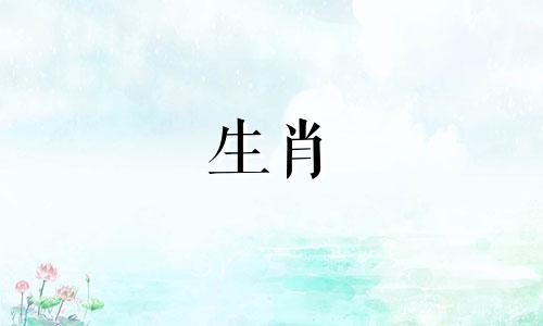 八字看你未来体型怎么看 八字怎么看体型