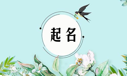 五行属木取男孩名字霸气阳光两个字