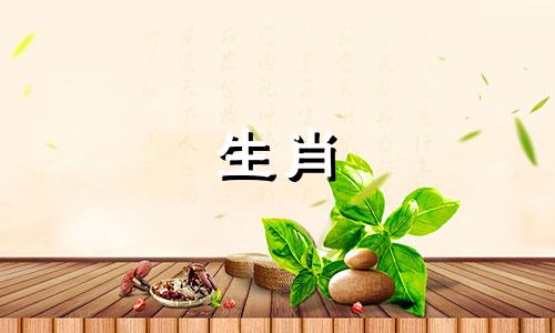 属鼠的人一生中哪几年犯太岁呢