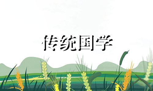 2024年2月9日黄历宜做哪些事情呢