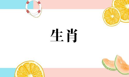 属马女和属鼠男合婚吗好吗
