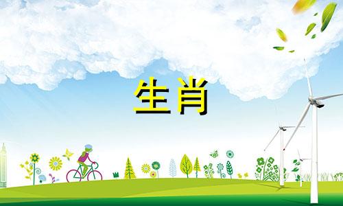 正月初八生女孩属兔好命吗