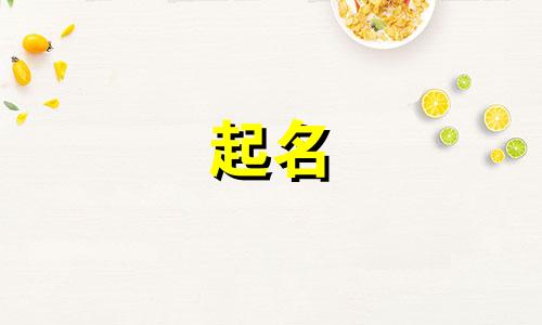 冷门却好听的公司名称三个字