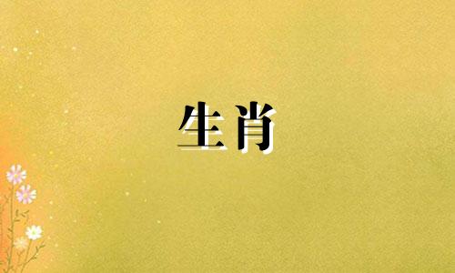 属鼠的几月出生的人命最好