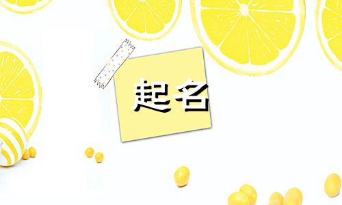 带凤洋气的女孩名字大全 带凤字女孩气质名字