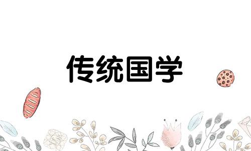 老人逝世之前有什么征兆