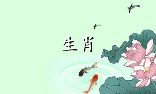 属蛇未时出生的女孩命运怎么样