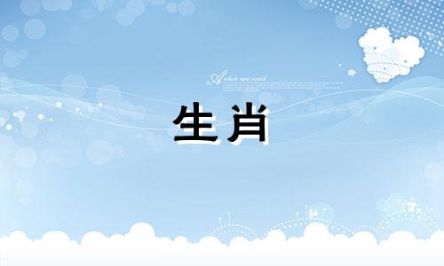 1979年属羊男二婚生活如何