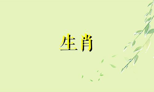 鼠和狗合不合?鼠和狗属相合不合呢