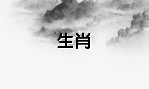76年属龙人48岁事业运势如何