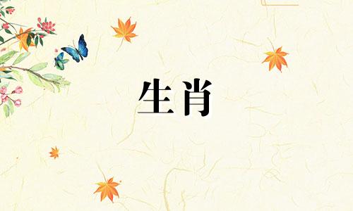 2024年属马人婚恋运势如何