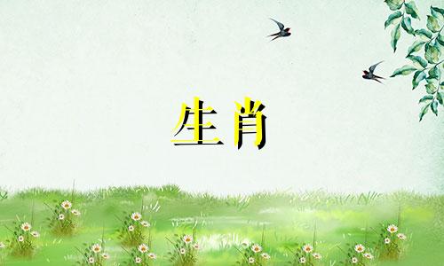 下巴有痣好不好,下巴有痣图解