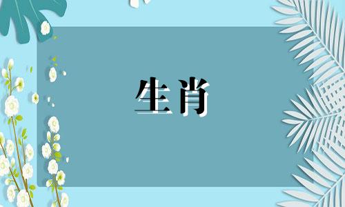 八字日支怎么看另一半 从日支看另一半的长相